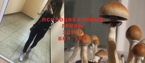 спайс Баксан