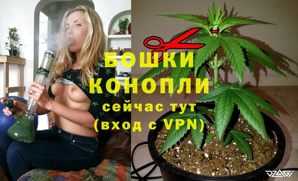 спайс Баксан