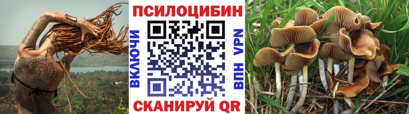 Галлюциногенные грибы Psilocybe Нея